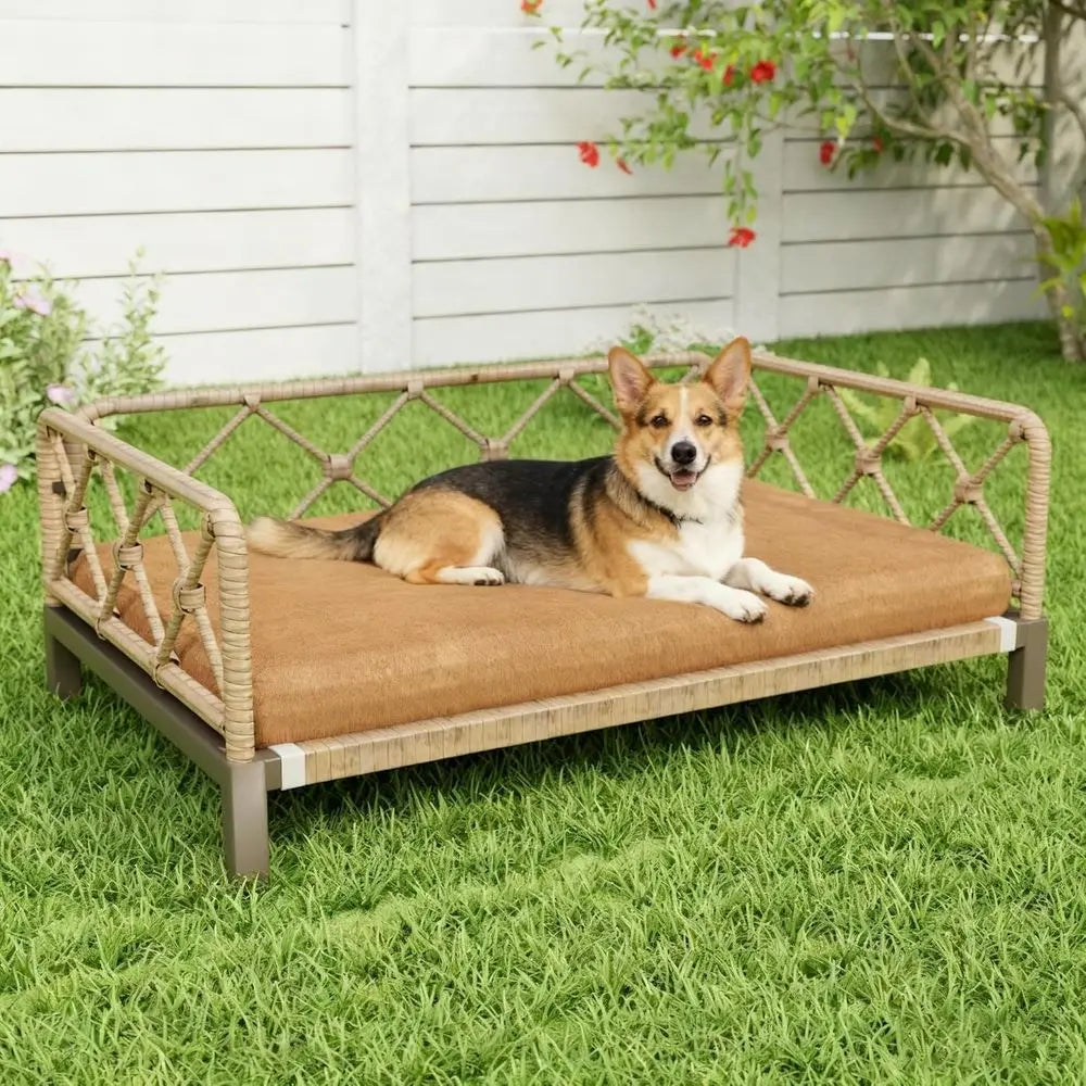 Indoor Wicker Rattan Dog Bed with Sofa & Cushion | Brown
