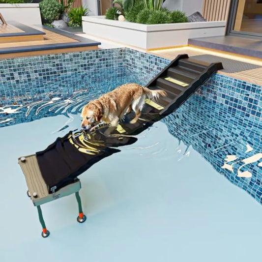 Adjustable 4-Leg Dog Pool Ramp | Quick Setup, Foldable | 200 lbs Capacity | Non-Slip