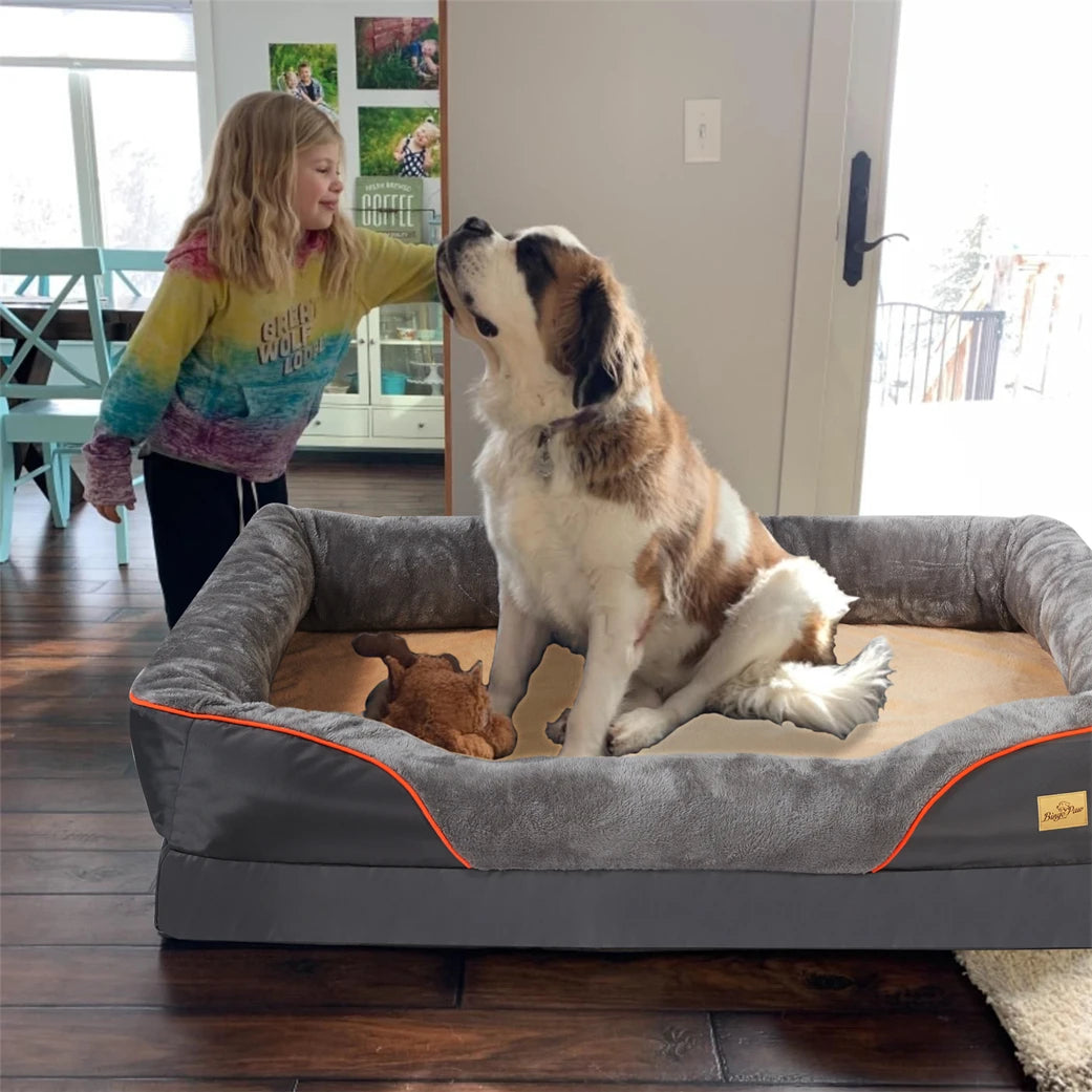 Orthopedic Memory Foam Dog Bed with Bolster | L to 3XL