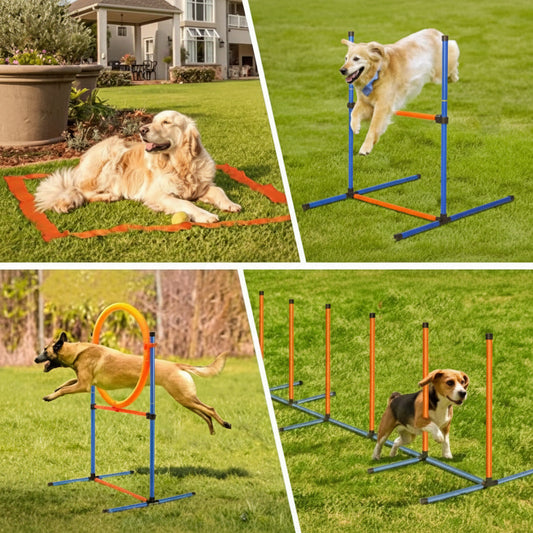 72-Piece Dog Agility Obstacle Course | Hurdles, Tunnel & More | Indoor & Outdoor Training