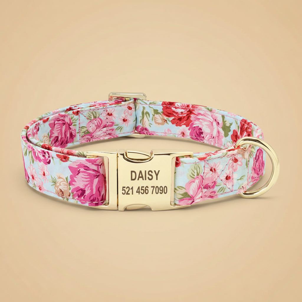 Personalized Dog Collar & Leash Set