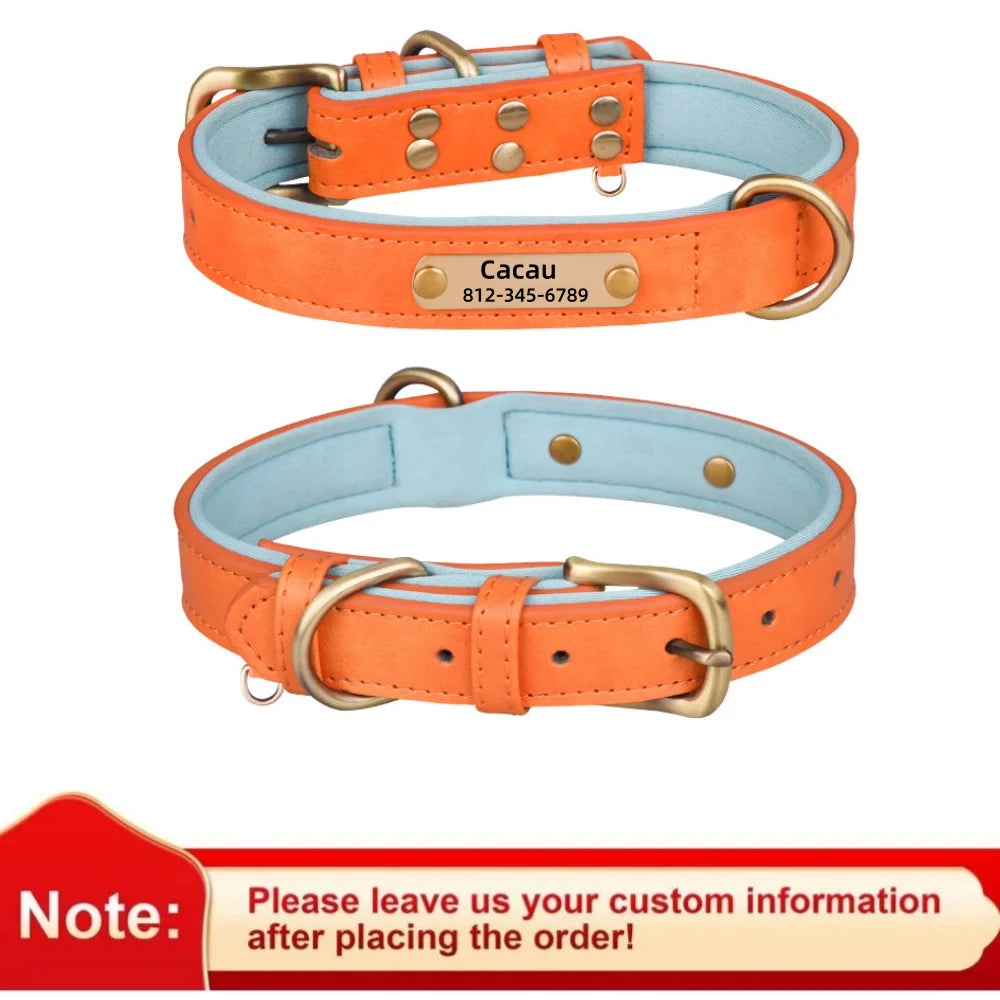 Personalized Leather Dog Collar | Free Name Engraving | Soft Padded | 9 Colors | XS–XL