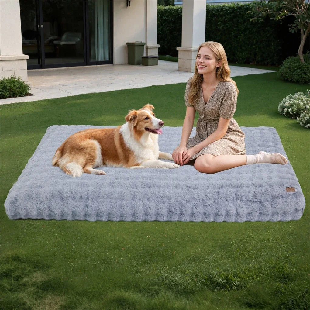 Ultra-Soft Calming Dog Bed | Removable Machine-Washable Cover | Cozy Pet Cushion | Dogs & Cats