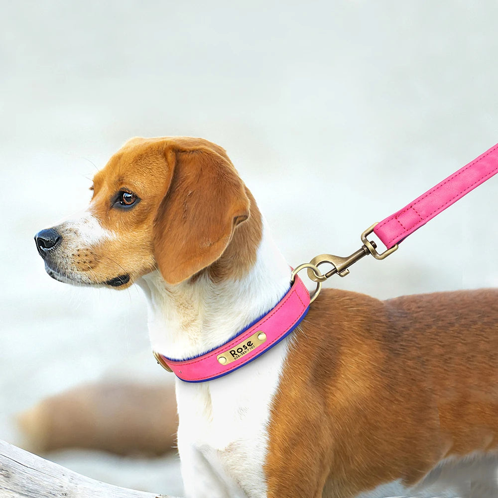 Personalized PU Leather Dog Collar & Leash Set — Soft Padded, Free Engraved Nameplate | XS–XL