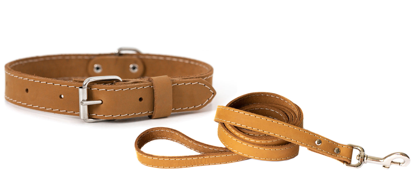Pro Line Hunting Leather Collar and Leash Set