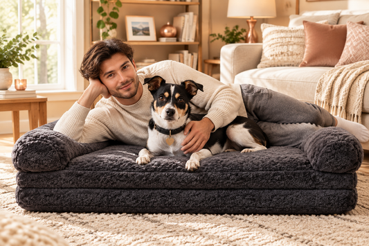 Jake and a man in his twenties lounging on the extra large dark gray bed in a family room