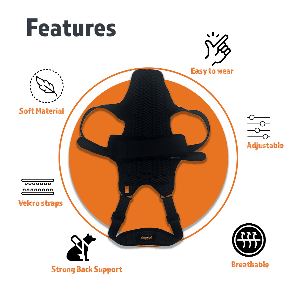 NeoAlly Dog Back Brace with Foam Inserts — Spinal Support for IVDD, Arthritis & Injury