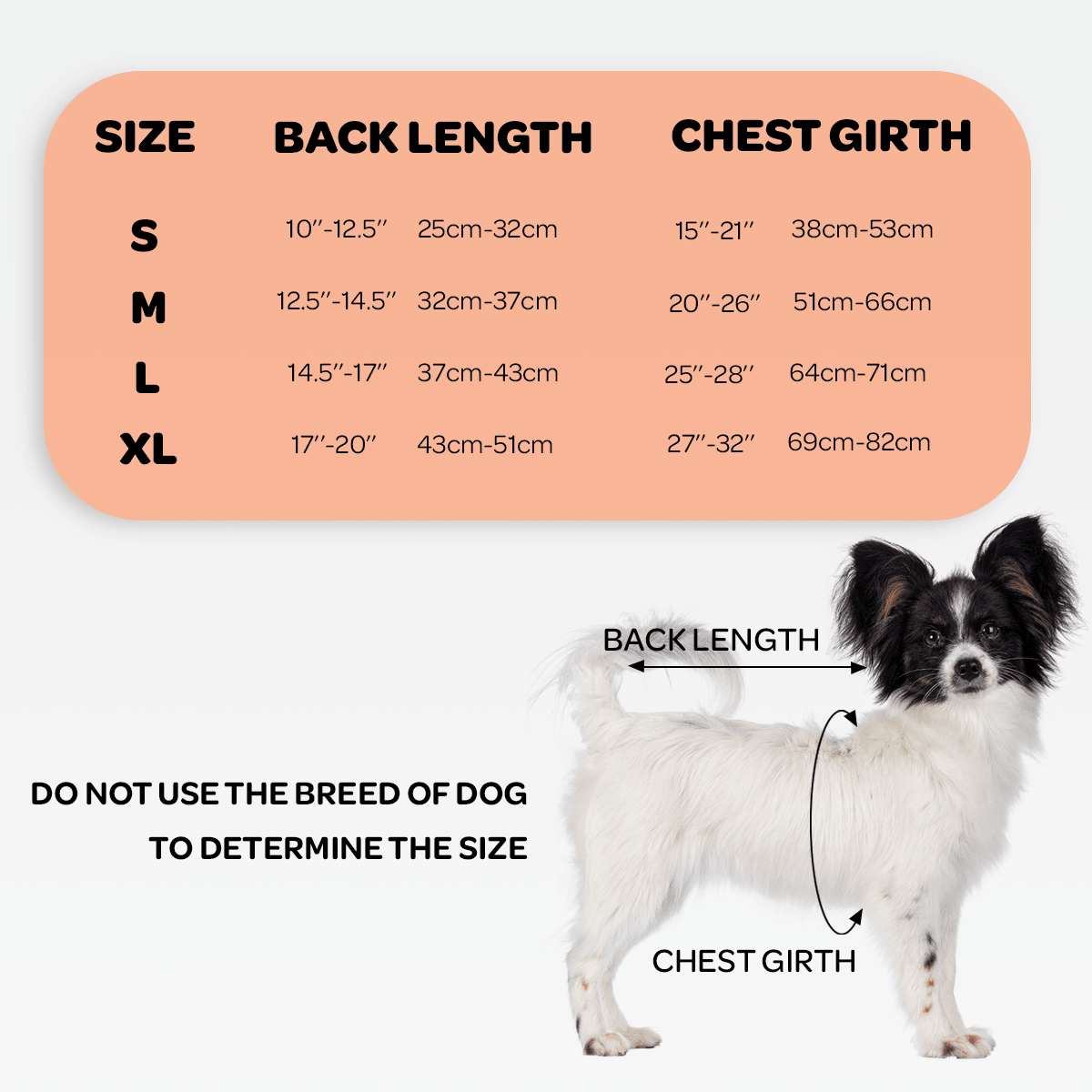NeoAlly Dog Back Brace with Foam Inserts — Spinal Support for IVDD, Arthritis & Injury