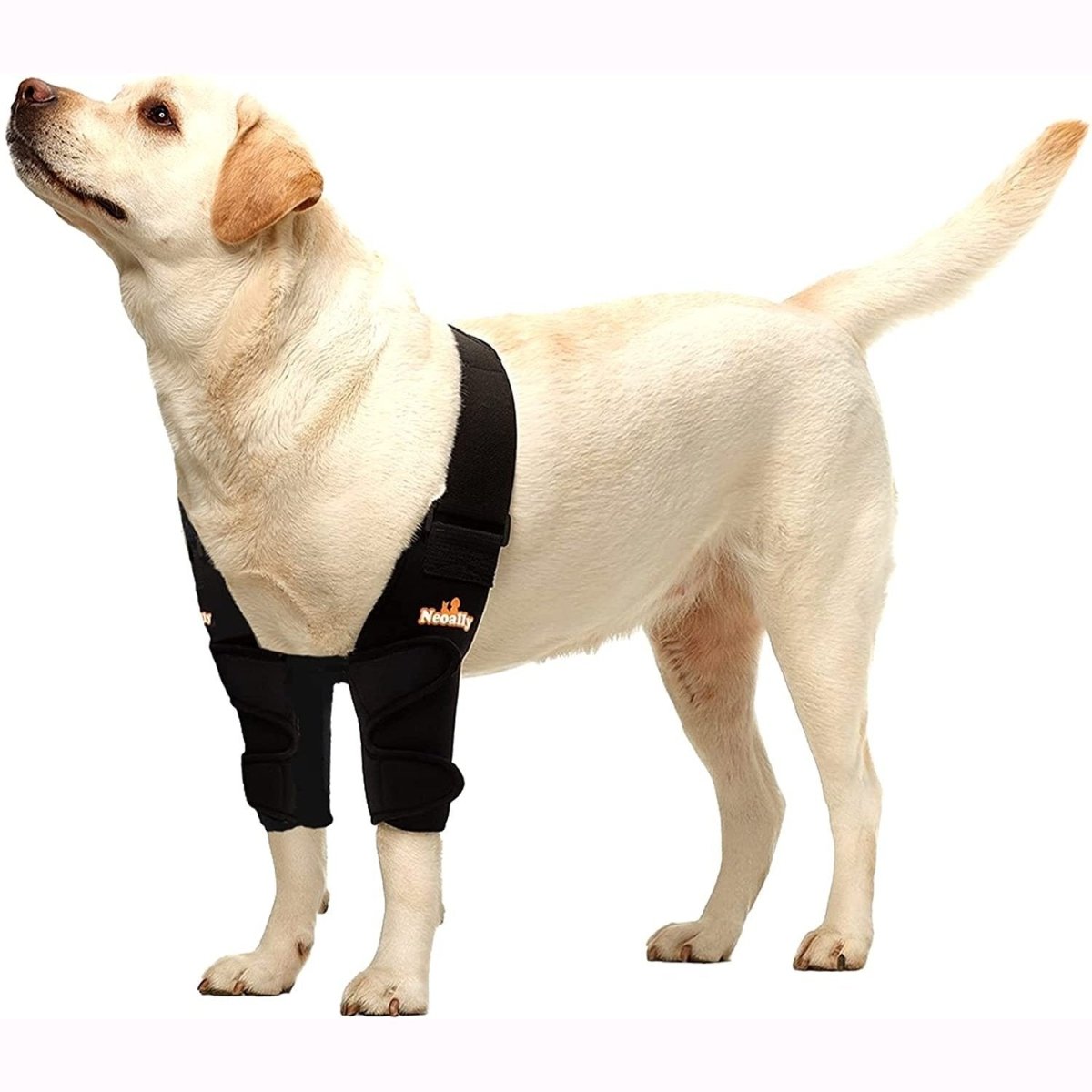 NeoAlly Dog Elbow & Shoulder Brace — Veterinarian Designed Joint Support | Left, Right, or Both Legs