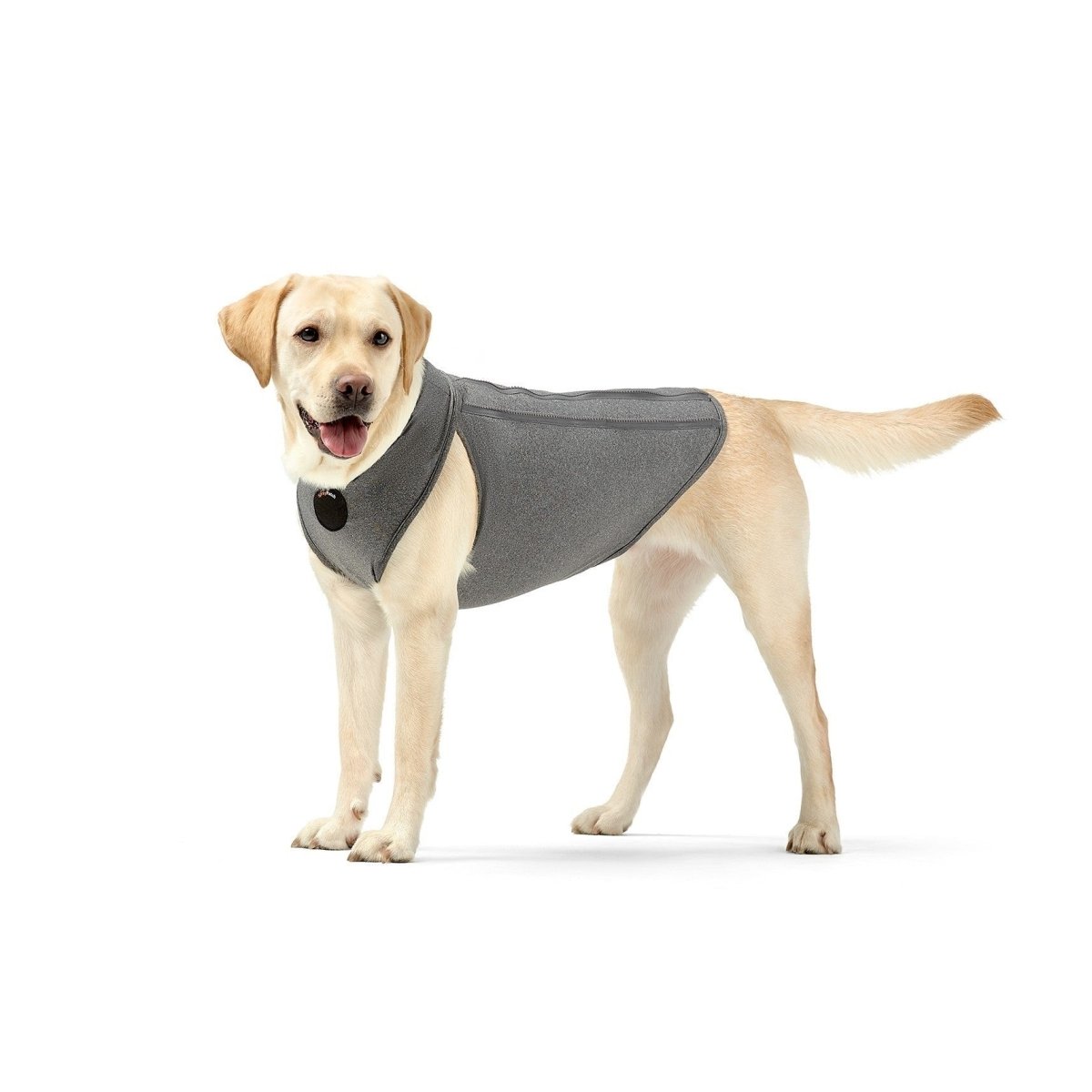 NeoAlly Dog Surgical Recovery Vest — 3-Level Compression, Calming & Wound Protection
