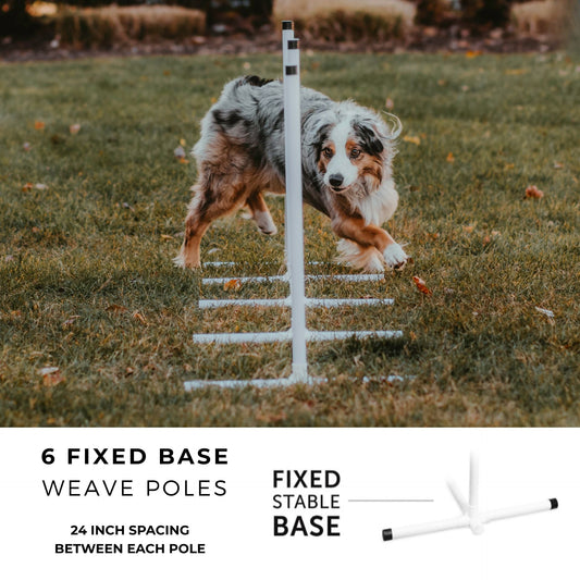 Better Sporting Dogs 7-Piece Dog Agility Equipment Set